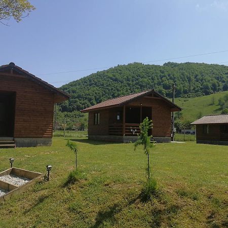 Vila Casute Zavoi Bulz Exteriér fotografie