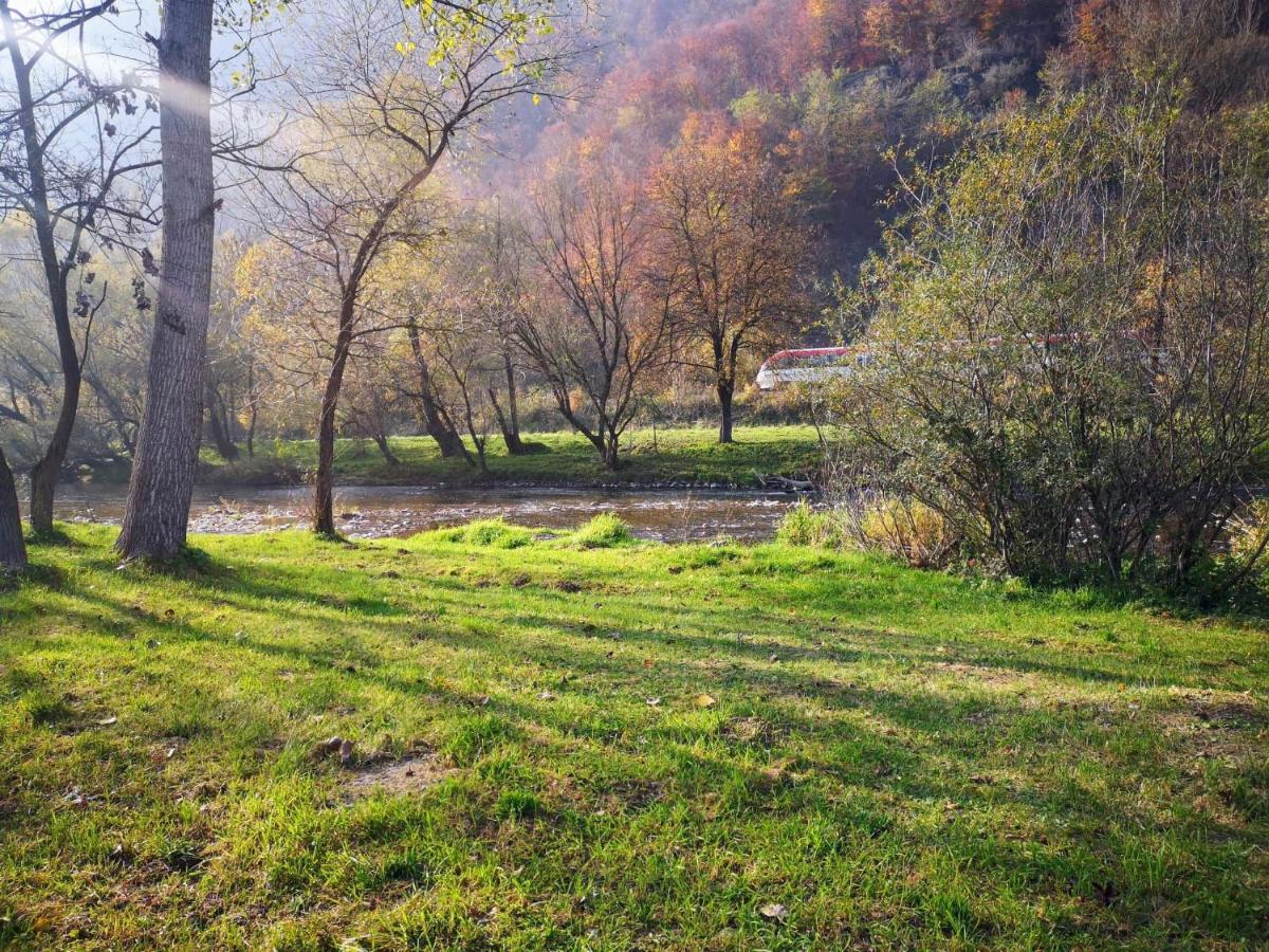 Vila Casute Zavoi Bulz Exteriér fotografie