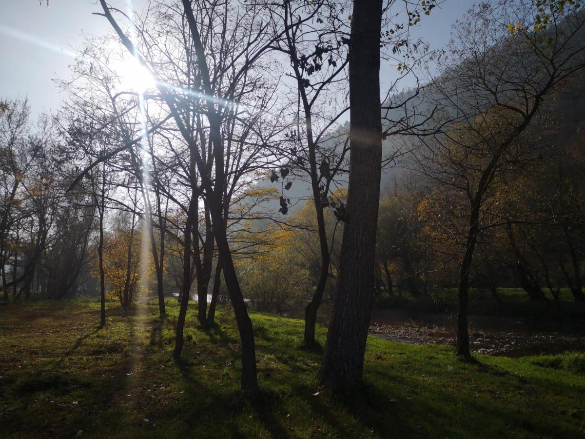 Vila Casute Zavoi Bulz Exteriér fotografie
