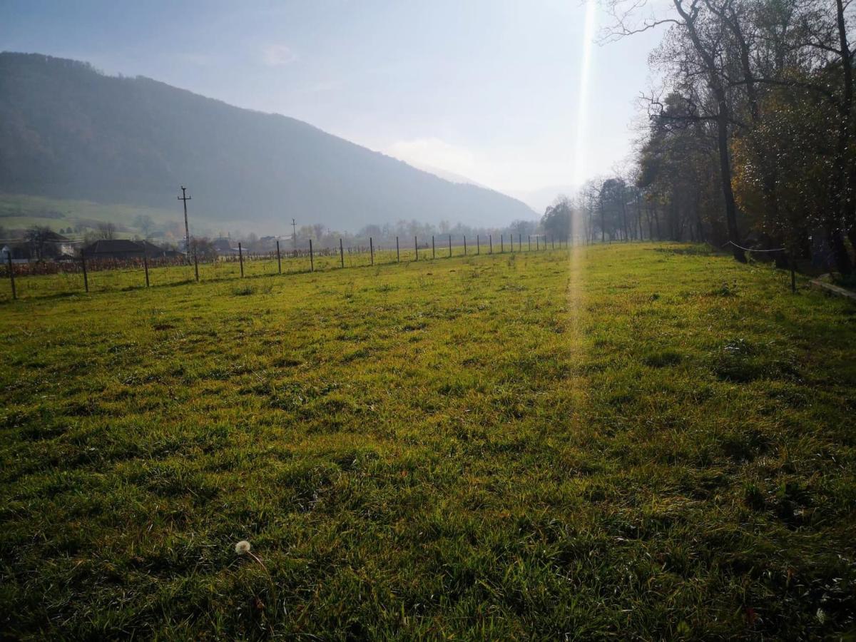 Vila Casute Zavoi Bulz Exteriér fotografie
