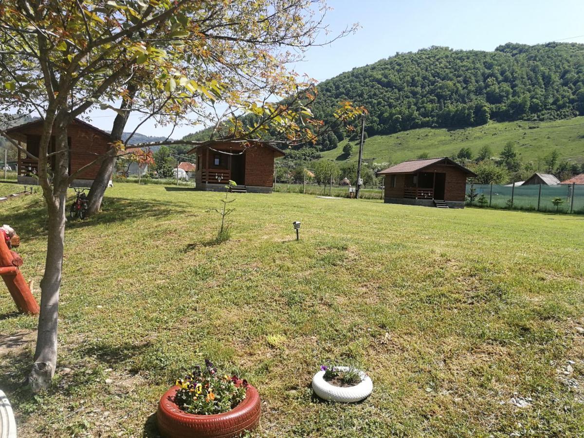 Vila Casute Zavoi Bulz Exteriér fotografie
