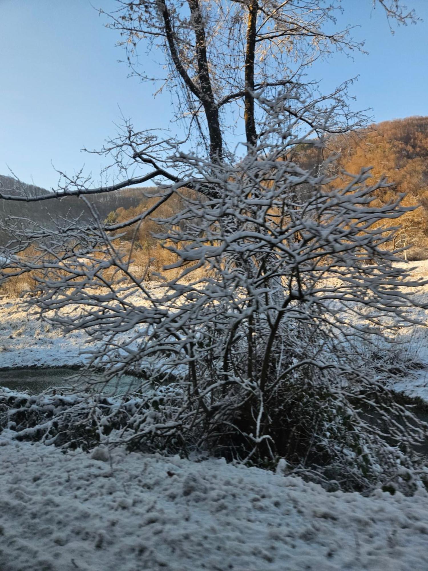 Vila Casute Zavoi Bulz Exteriér fotografie