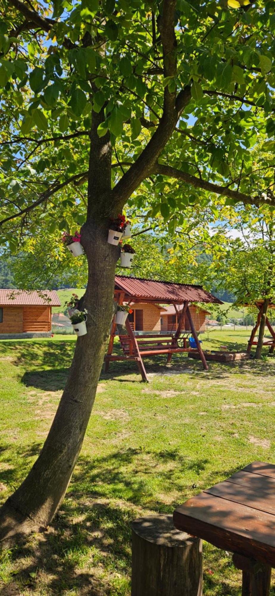 Vila Casute Zavoi Bulz Exteriér fotografie
