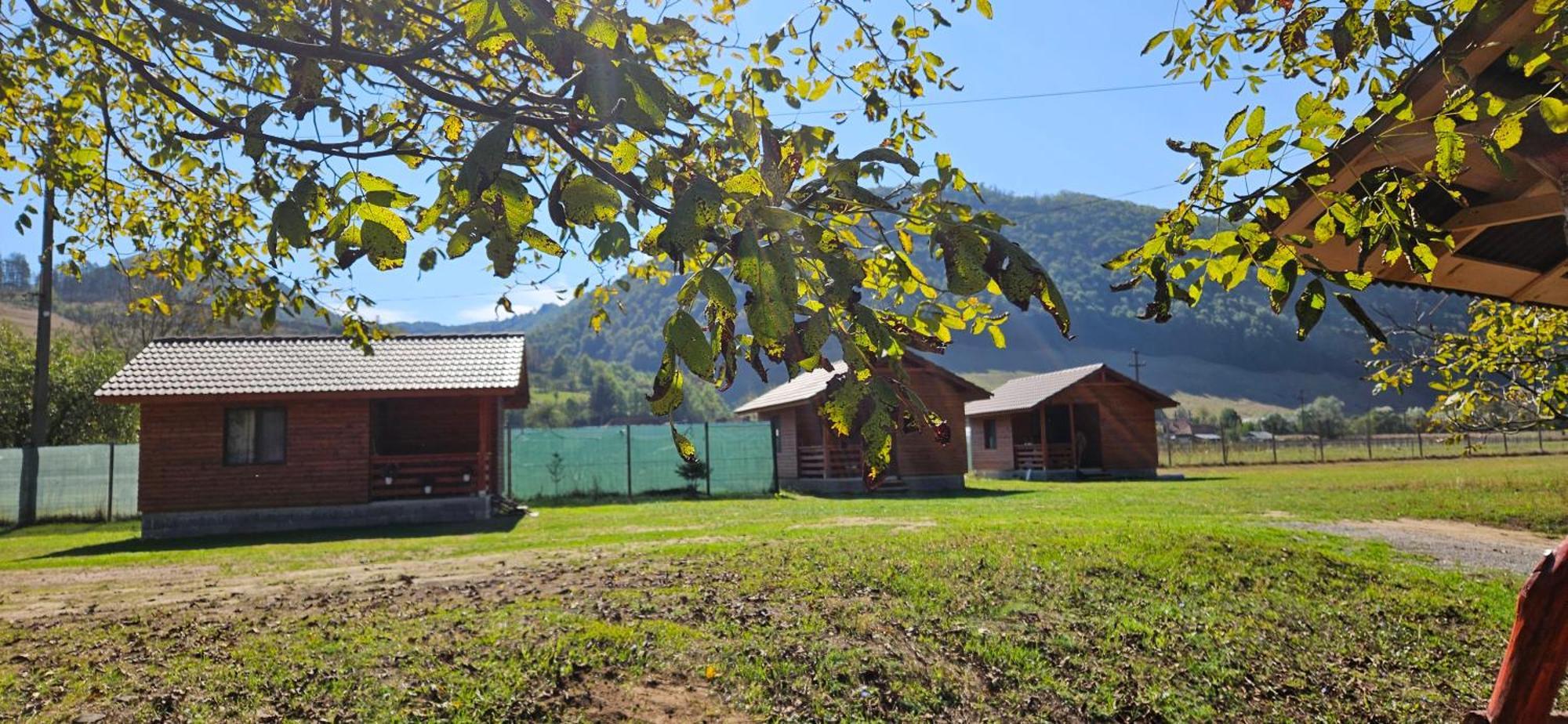 Vila Casute Zavoi Bulz Exteriér fotografie